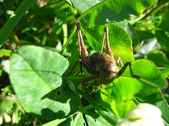 Bad problem with focus.